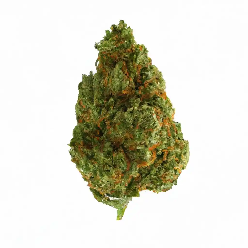 big bud autoflower marijuana seeds